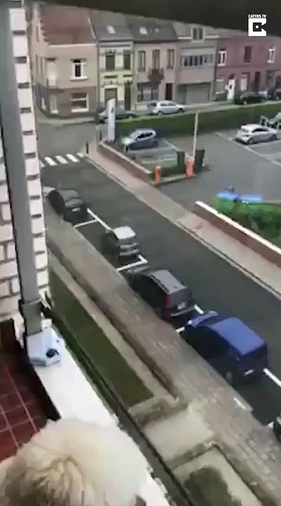 Il galère à garer sa voiture sans permis sur une place immense