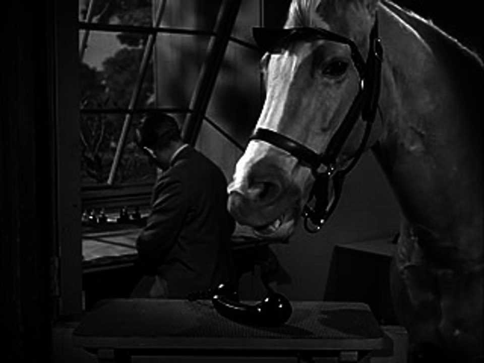 Mister Ed S04E13-Ed Gets The Mumps - video Dailymotion