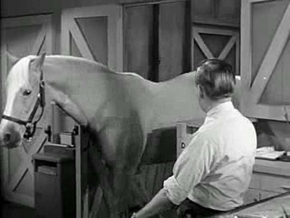 Mister Ed S04E20-Ol' Swayback