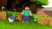 Minecraft Surgery School - Minecraft Animation - (Steve Life, Monster School Life)   MineLife