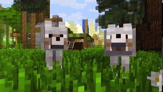 Baby Wolf Life 3 - Minecraft Animation - (Mob Kids, Skeleton Life)   MineLife