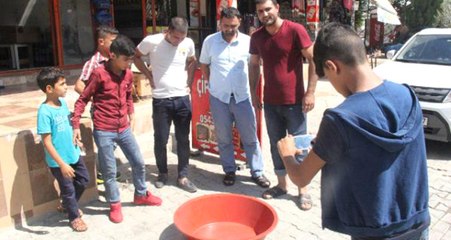 Şanlıurfalı Kasap, Mağarada Nesli Tükenmekte Olan 'Urfa Keleri' Buldu