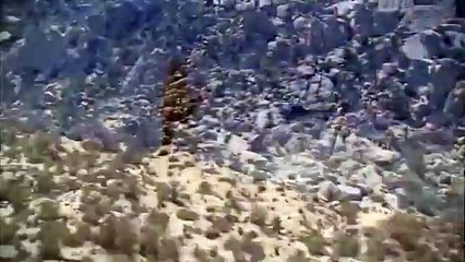 Bear Grylls İnsan Doğaya Karşı (Kanal Tanıtımı)