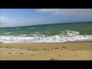 LA PLAGE DE LA TURBALLE