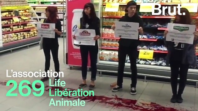 269 Life Libération Animale : qui sont les ultras de la protection animale ?
