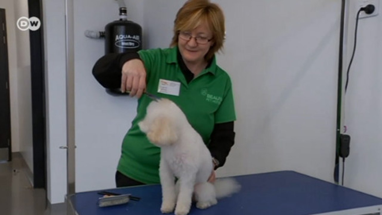 Evcil hayvanlar için lüks otel