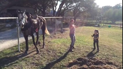 Ce cheval adore danser !