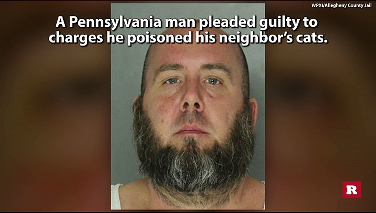 Man pleads guilty to using mothballs to kill neighbor's cats | Rare News