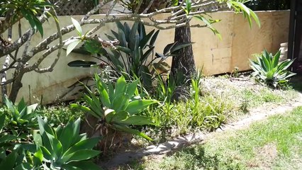 UNDERWATER SCOOTER TRICKS!