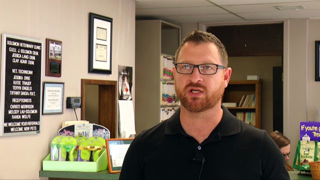 Welcome to Solomon Veterinary Clinic