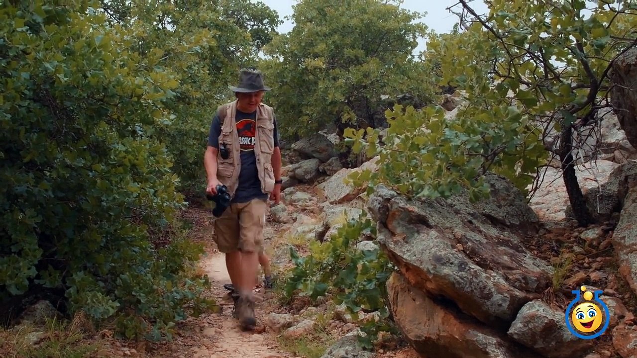Raptor Dinosaurs vs Park Ranger Aaron In Real Life Dinosaur Park with Surprise Toys Fun Kids Video