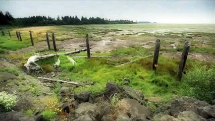 Francis Cabrel - Même si j'y reste