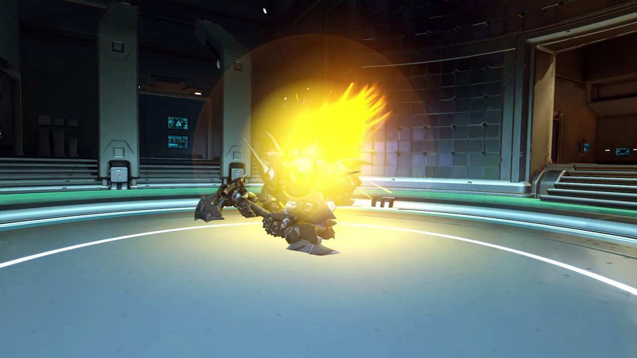Rein POTG