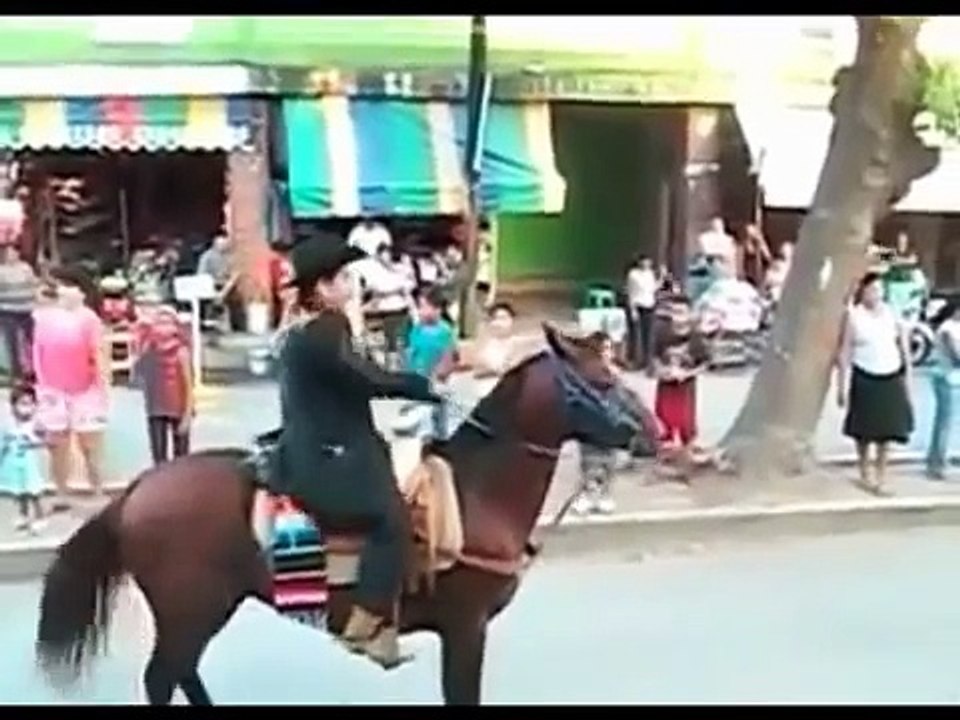 Horse Jump Fail