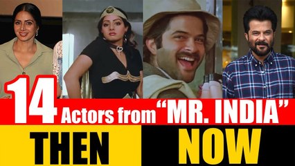 14 Bollywood Actors from "MR. INDIA" 1987 | THEN and NOW 2017