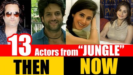 13 Bollywood Actors from "JUNGLE" 2000 | THEN and NOW 2017