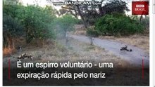 luiz123