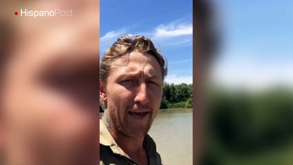 Cocodrilo se comió el sombrero del Indiana Jones australiano