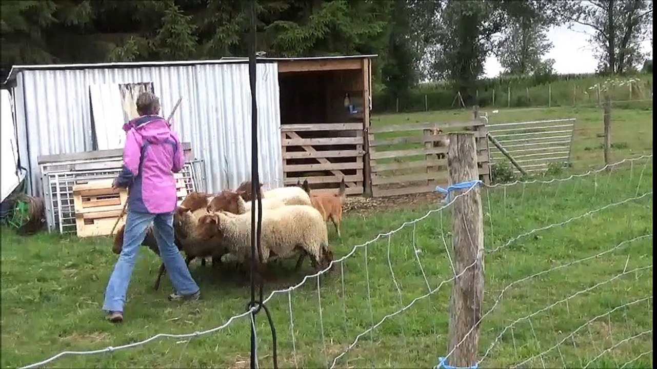 Stage Steve "Ecarte"