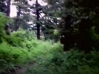 카지노룰렛룰＼＼【 ＬＯＵ８２。ＣＯＭ 】＼＼바카라바카라