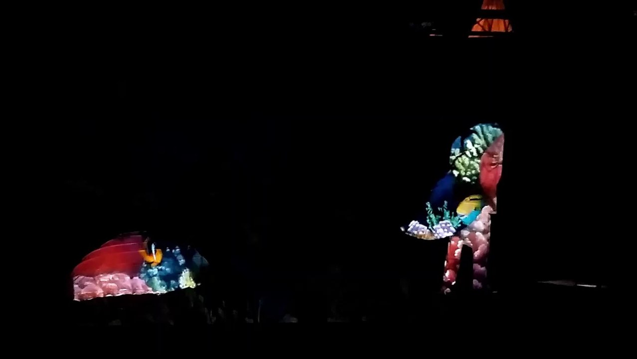 Lebende Leinwand , illuminierte Show
