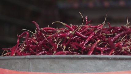 Chile de árbol: el ingrediente que da identidad y sustento a familias mexicanas