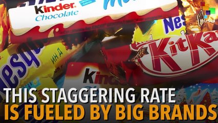 Chocolate Cravings: Driving Deforestation in the Ivory Coast