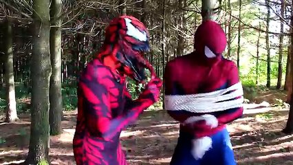 Spiderman BITTEN by VAMPIRE Frozen Elsa & Anna! w/ Pink Spidergirl Superman TOYS! Superher