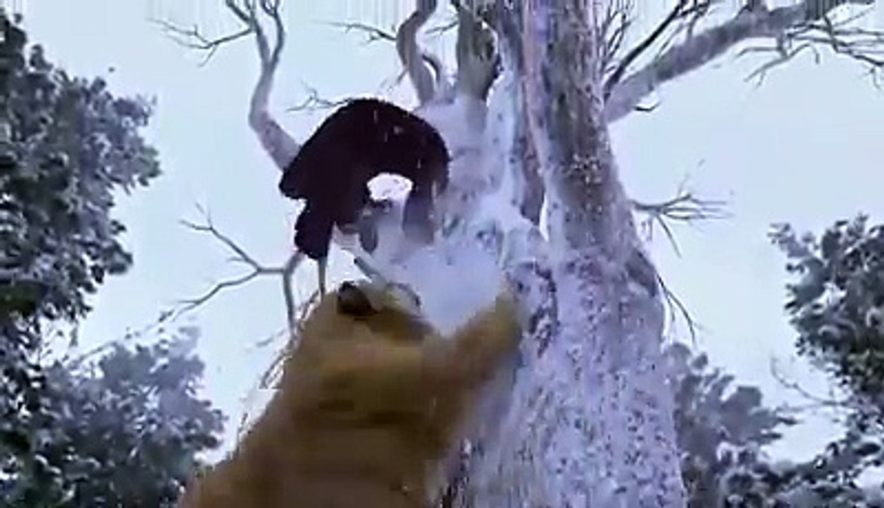 Incredible Effort