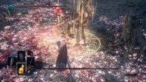 Soul of Cinder / Boss Guide / Dark Souls 3 / Simple Strategy / Walkthrough
