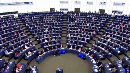 البرلمان الأوروبي يدعو لحظر بيع الأسلحة للسعودية