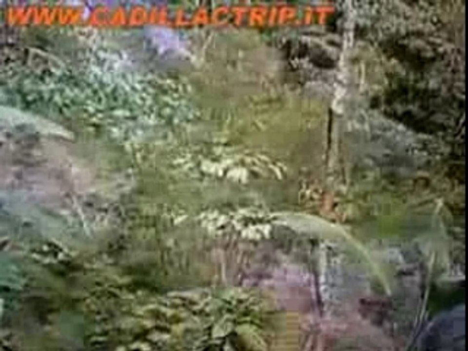 Bali cascate git git, CadillacTrip in Indonesia