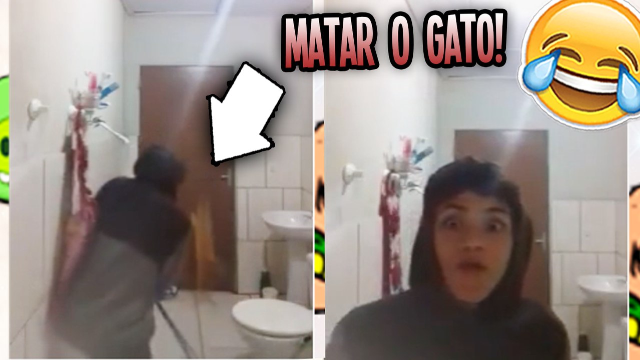 ELE TENTOU PEGAR O GATO !