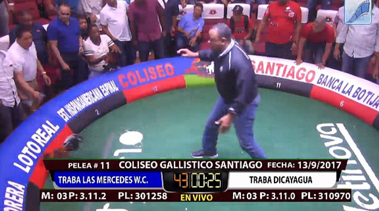 UNA HISTORIA MAS QUE CONTAR EN LOS GALLOS 13-09-2017