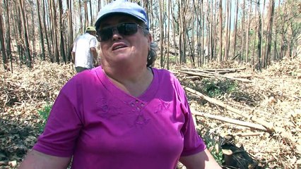 Anger and loss as Portugal rebuilds after its deadliest fire