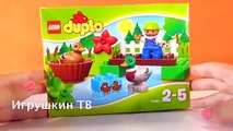 Лего Дупло 10581Конструктор Lego Duplo Уточки в лесу Обзор на игрушки Лего Дупло