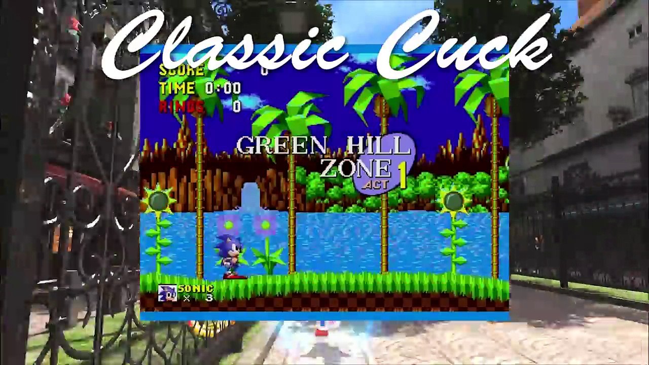 You literally cannot please the Sonic fanbase