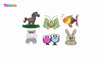 Learning Arabic (kids) - 75 animals | تعليم أسماء الحيوانات باللهجة المصرية - الحيوانات - 75 حيوان