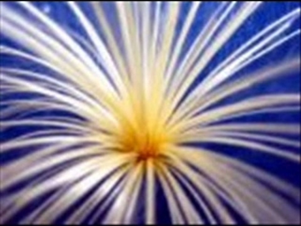 Funk -_- crazy night