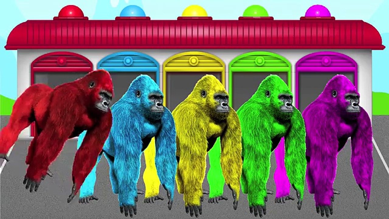 Nouveau les couleurs avec capitaine Amérique gorille et homme de fer vidéo pour enfants