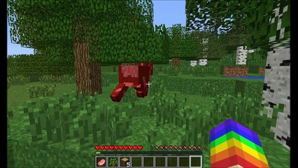 Rainbow Dash Plays Minecraft