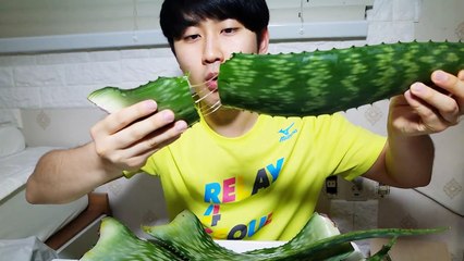 껍질째 통째로 먹는 알로에를 먹어보았다!! : 비썹Bssup