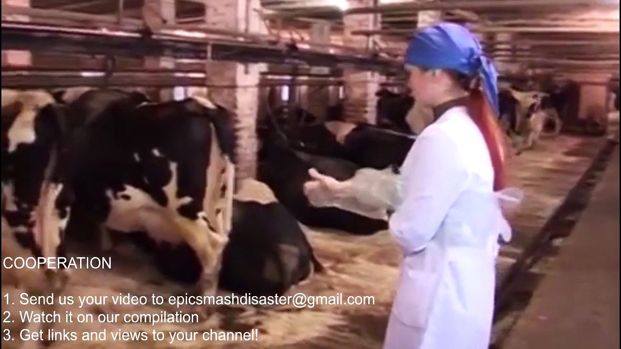 Intelligent Technology Smart Farming Automatic Cow Goat Milking Machine, Feeding, Cleaning