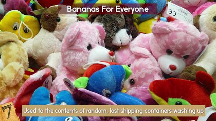 7 Strangest Things Found in the Ocean by Merlin Turner