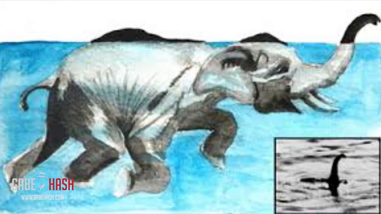 NESSIE THE LOCH NESS IN ENGLAND? SEPTEMBER 17, new (POSSIBLE EXPLANATION)