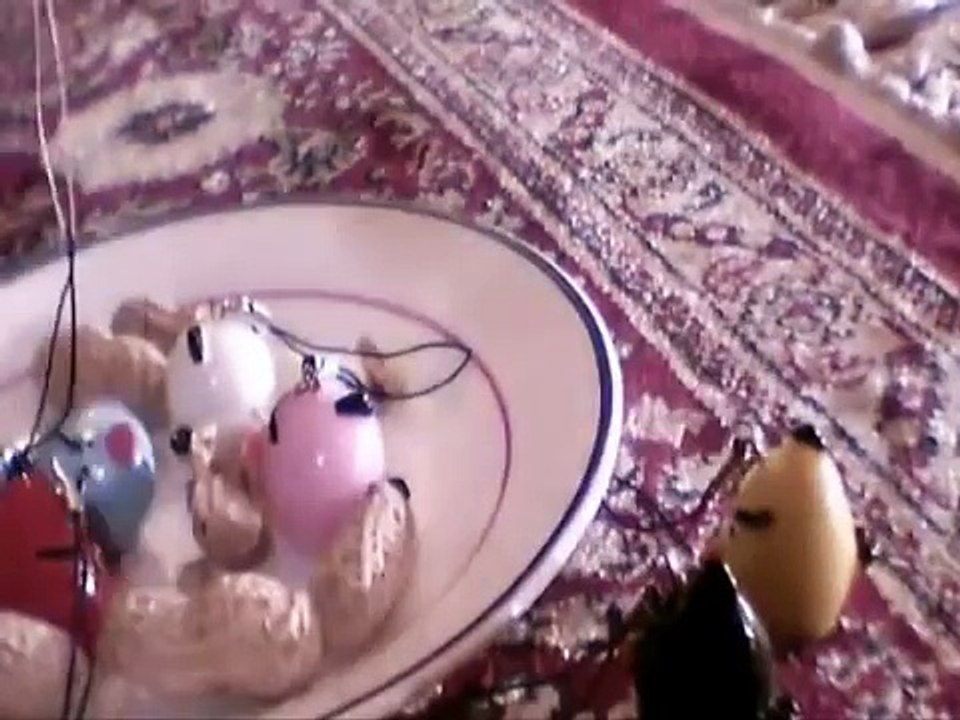Angry Birds Stop Motion Animation