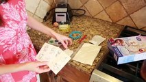 Pain Noël biscuits gelé pain dépice Princesse Disney anna ninja nerdy nummies walmar