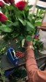 How to Make a Simple Roses Flowers Bouquet – Melbourne Fresh Flowers