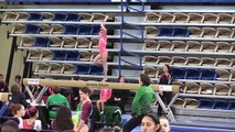 Annie the Gymnast | Level 7 State Gymnastics Meet new | Acroanna