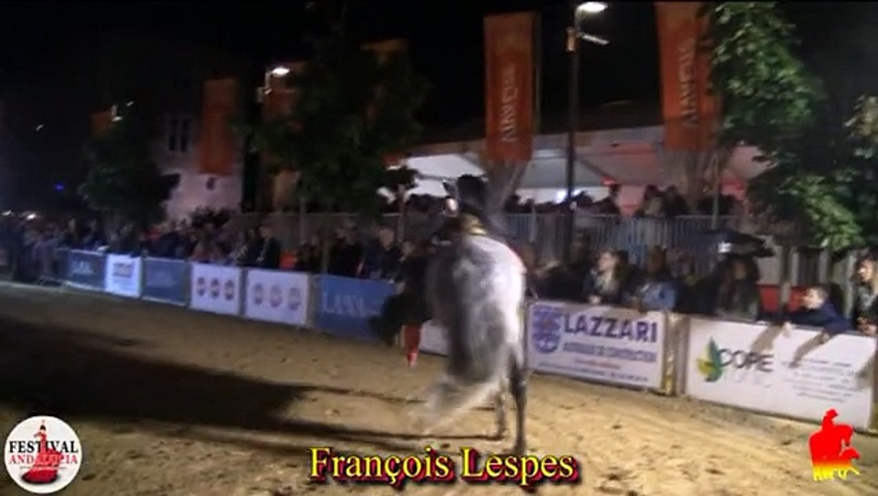 Festival Andalucia Oupeye 2017 - Voltige et Feu Samedi soir